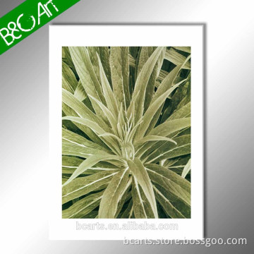 ZS(5630) Custom canvas prints wall botanical stretched print canvas